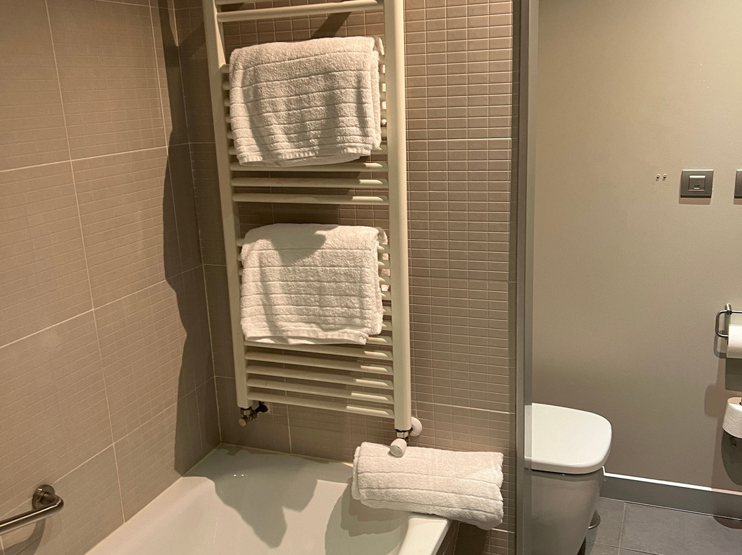 Hotel Spa Attica 21 Villalba主图
