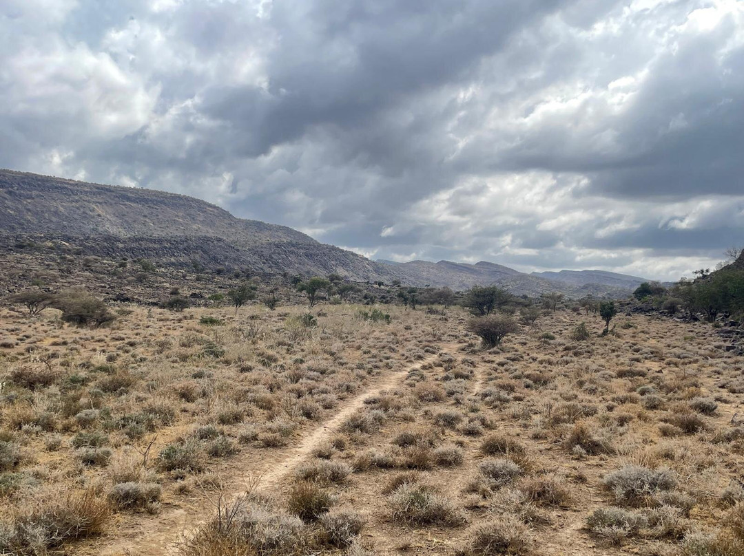 Day Forest National Park-吉布地必去景点