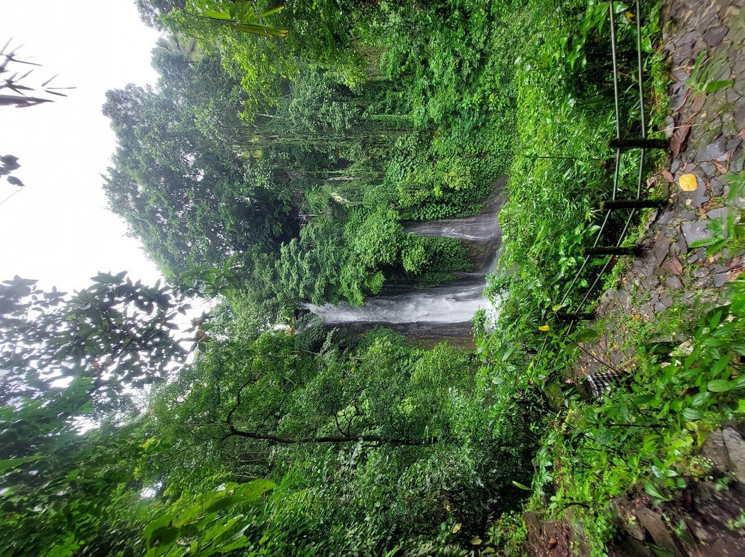 2 Bali Melali (trails And Lunch)景点图片