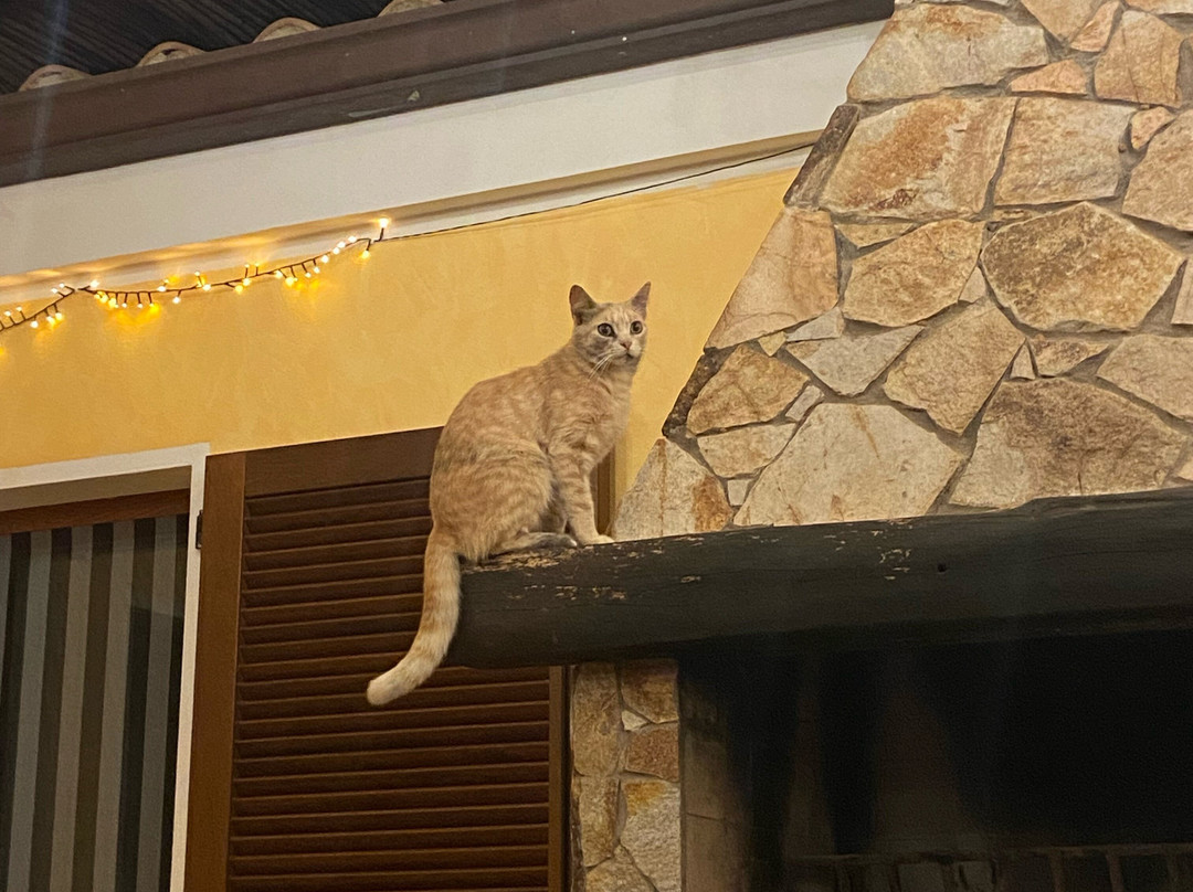 Residenze Alba e Tramonto sul Mare主图