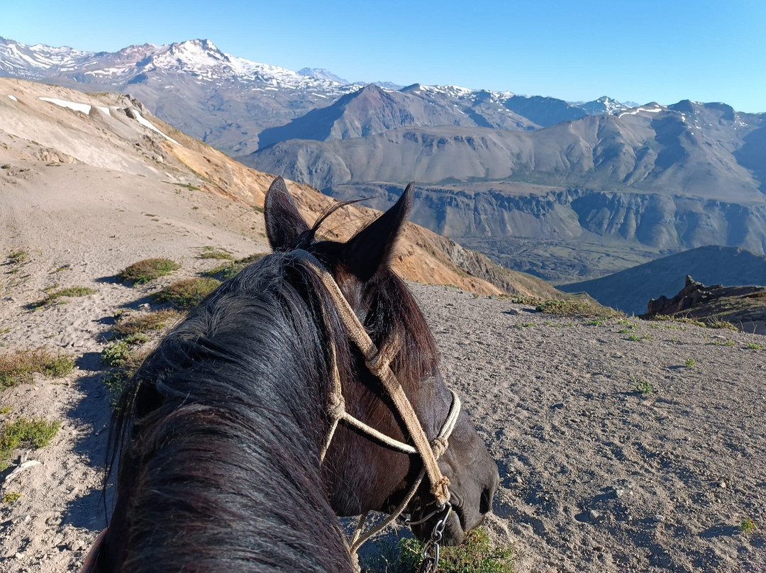 Chile Horse Riding-Panimavida必去景点