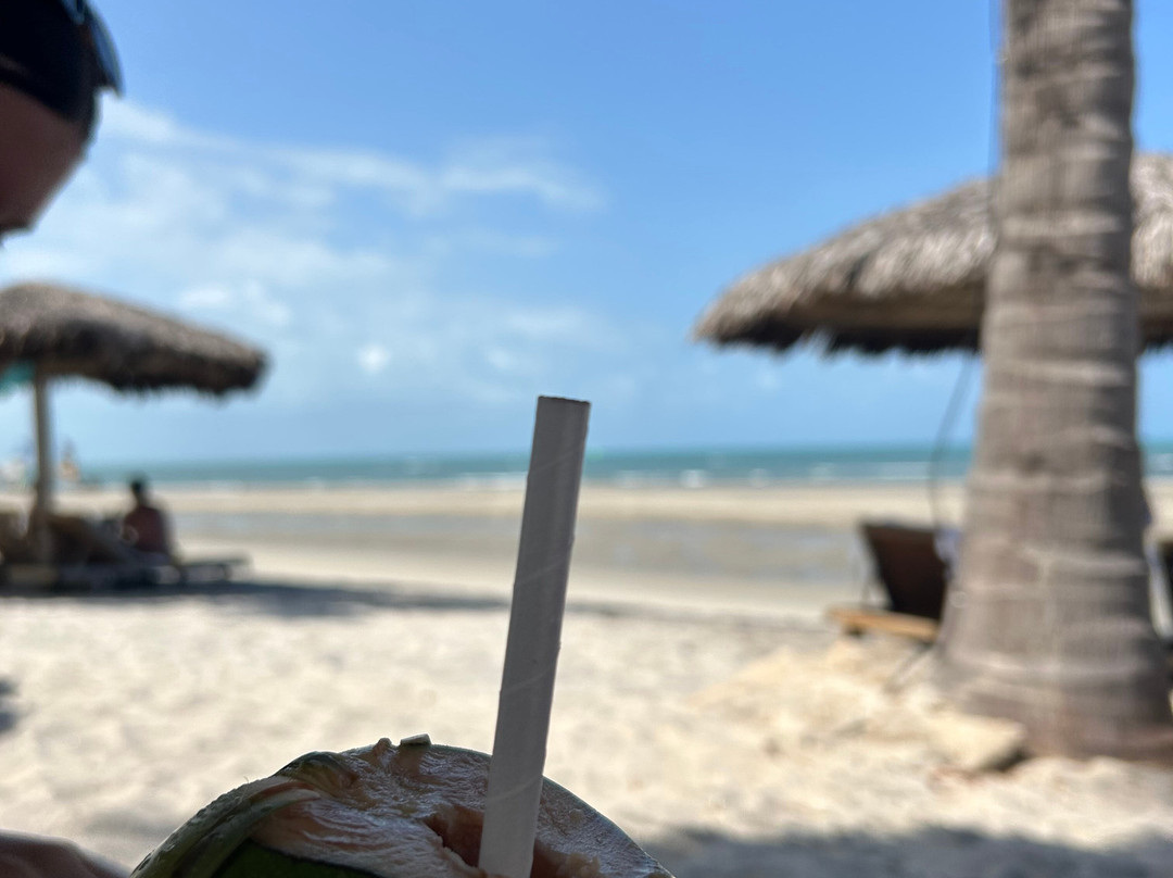 Hotel Vila Selvagem主图