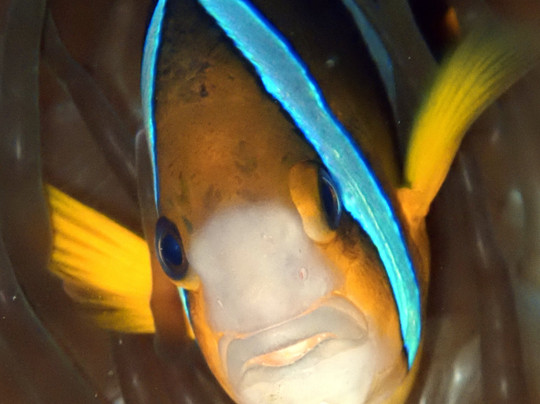 Ocean Gravity Dive Center Bali-沙努尔必去景点