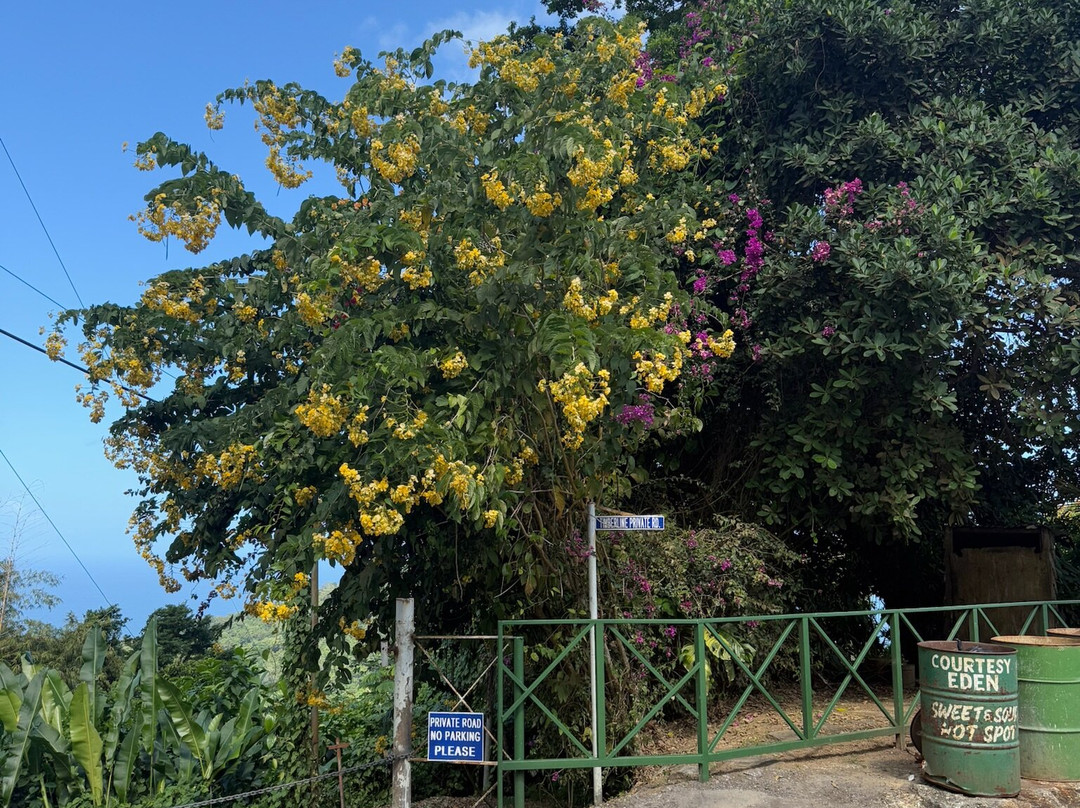 Alec Taxi Service TTT-西班牙港必去景点