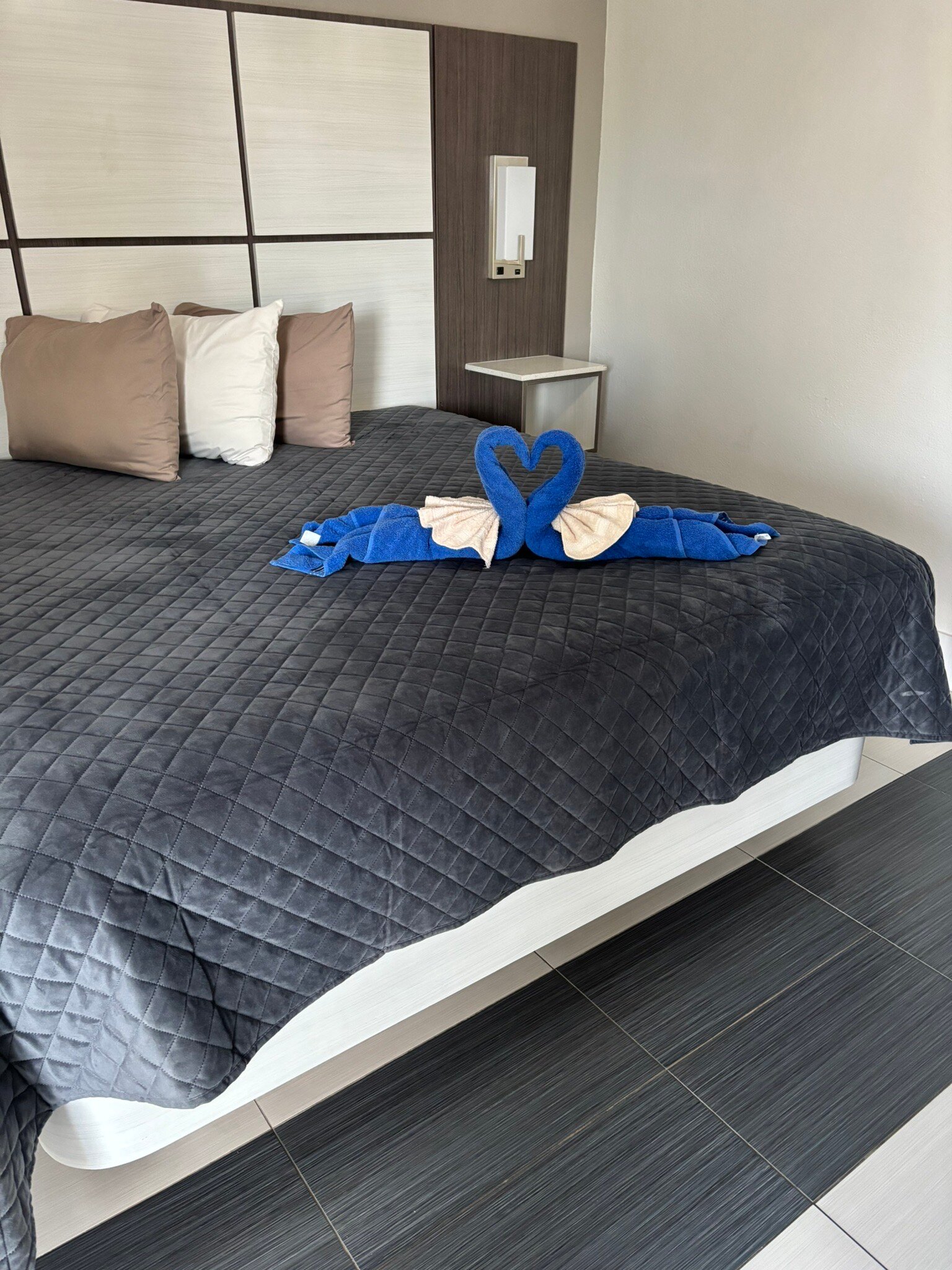 Apollo Inn Motel-官方