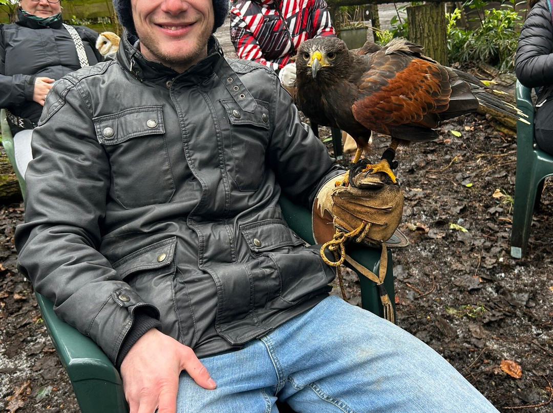 The Rutland Falconry and Owl Centre-Exton必去景点