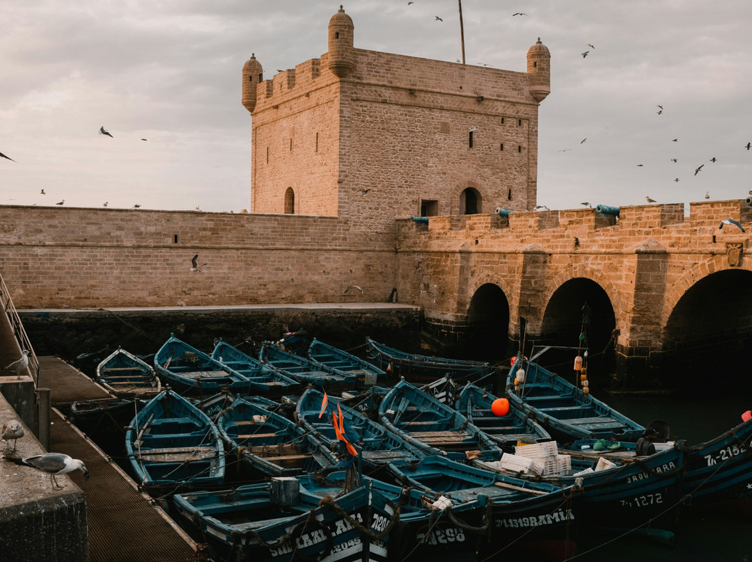Amazouz Morocco Tours - Essaouira