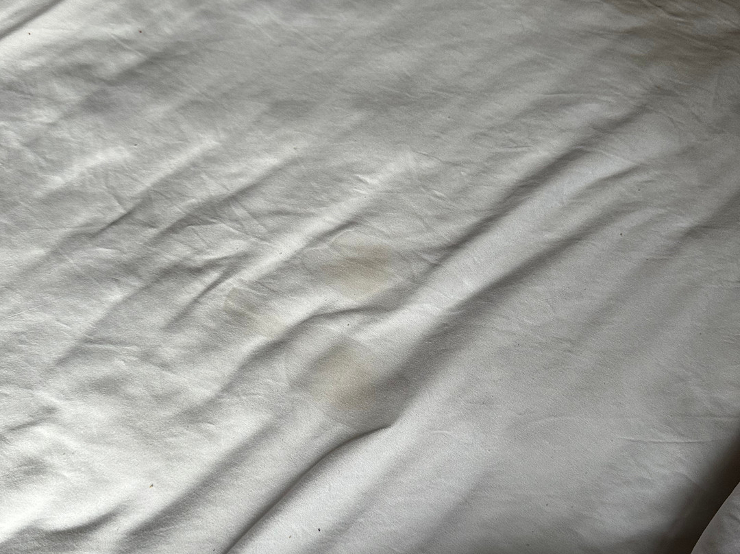 Comfort Inn East Windsor - Springfield主图