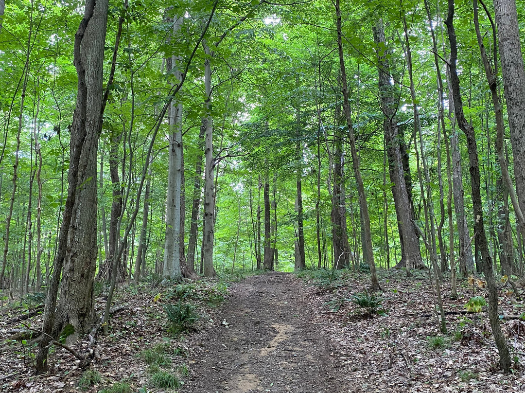 Ohio Bird Sanctuary景点图片