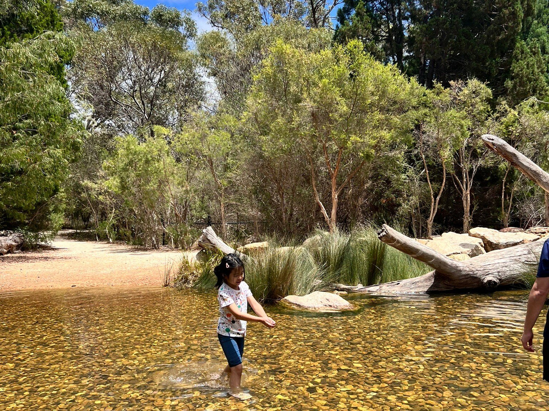 Rio Tinto Naturescape Kings Park-珀斯必去景点