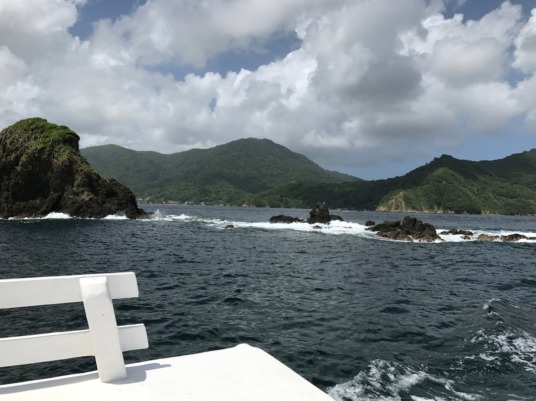 Little Tobago-Northeast Coast必去景点