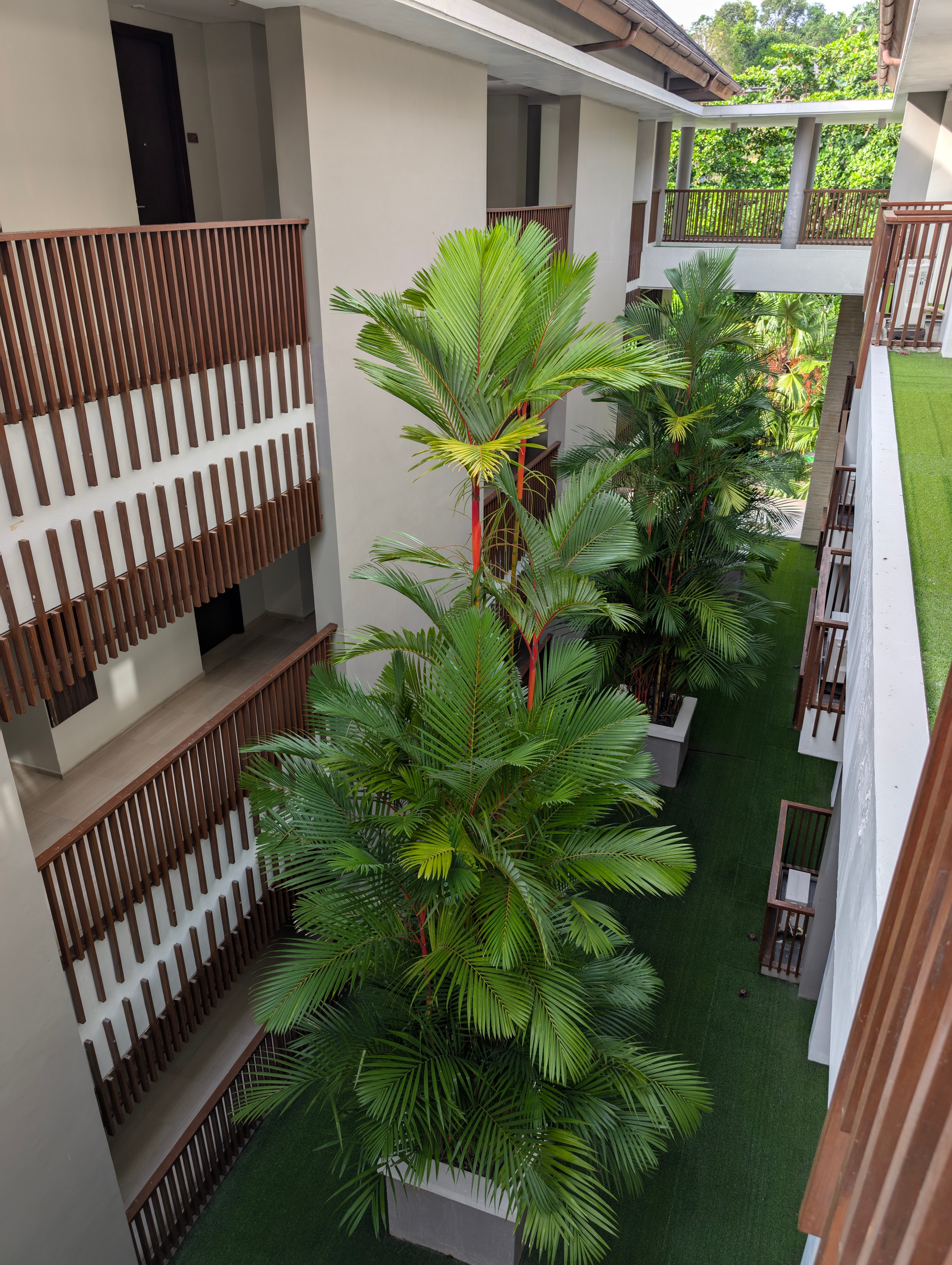 Swiss-Belhotel Sorong-浴室