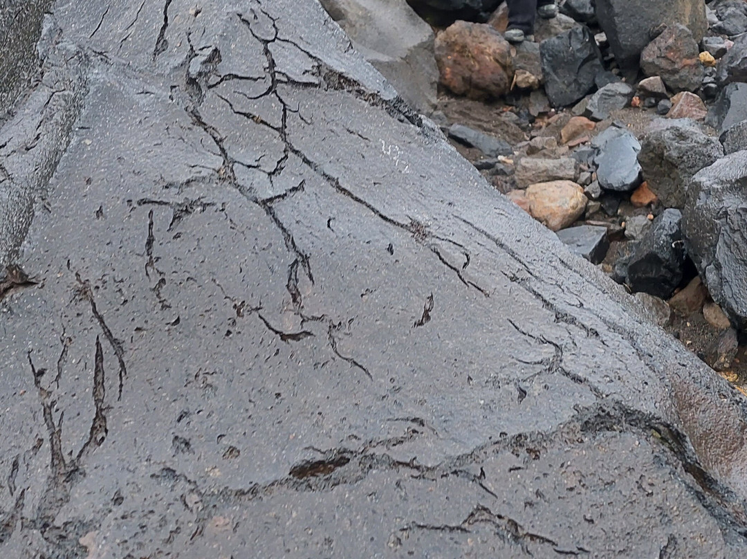 Lokon Volcano景点图片