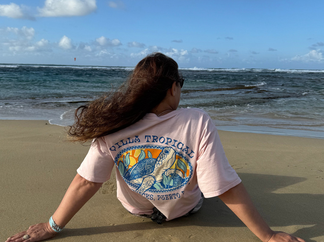 Villa Tropical Oceanfront Apartments on Shacks Beach主图