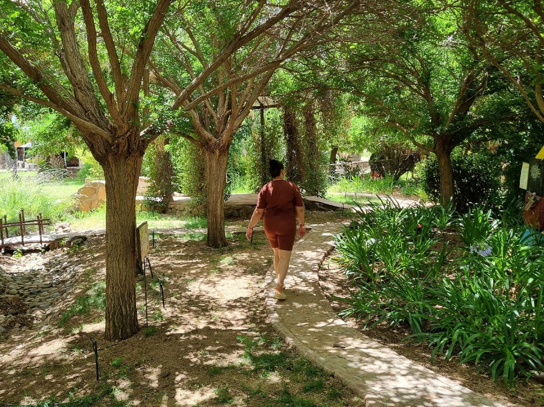 Bezalel Wine & Brandy Estate-阿平顿必去景点