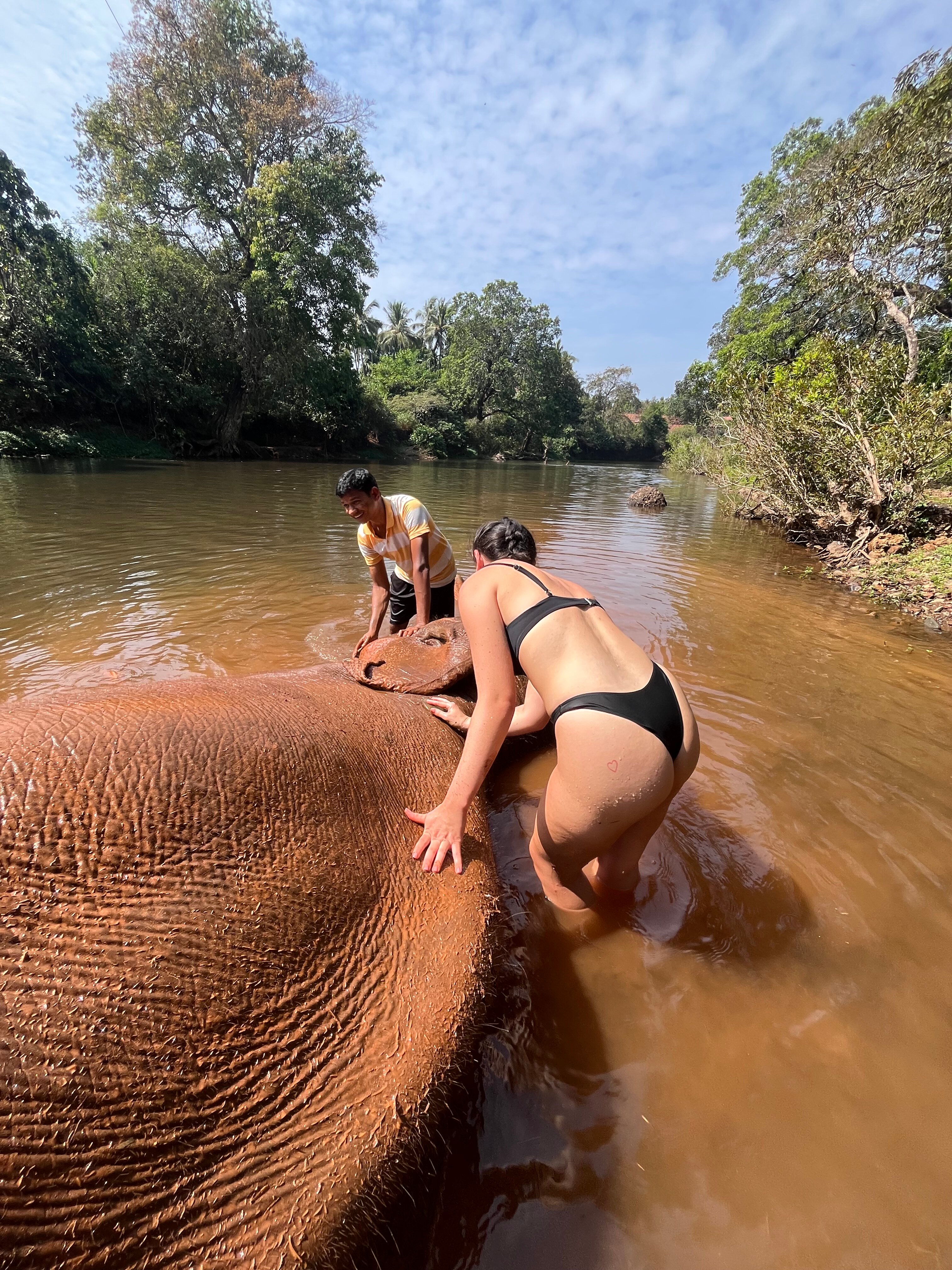Jungle Book-官方