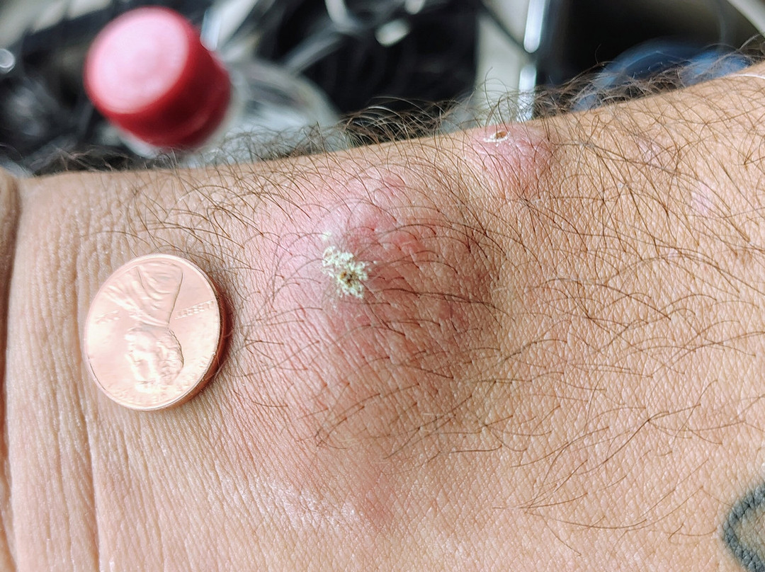 Quality Inn by Choice Hotels Commerce-Ga主图