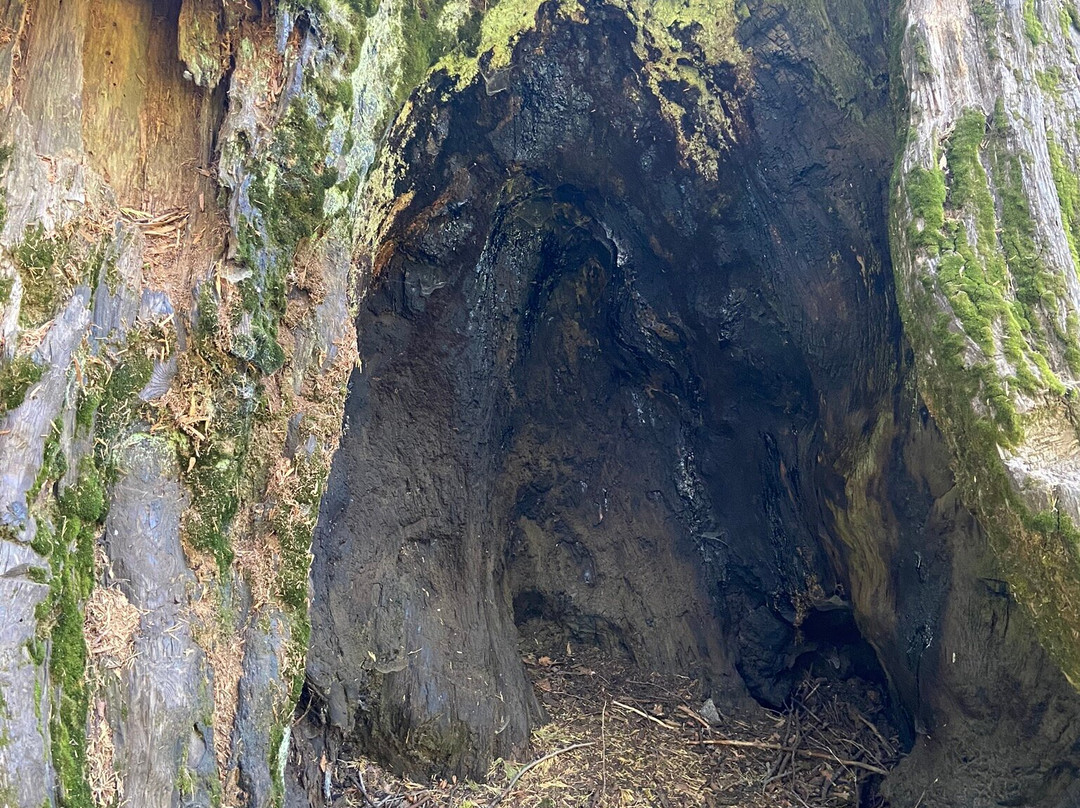 内尔德格罗夫-马德拉必去景点