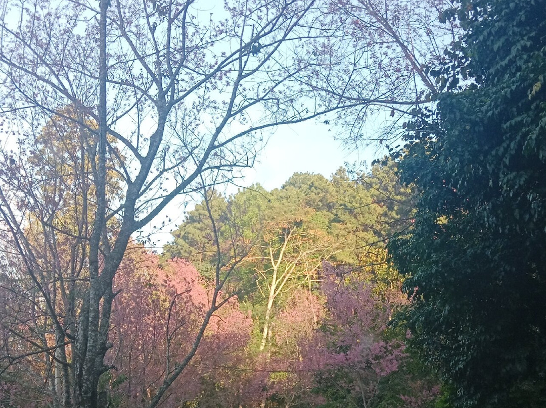 Khun Sathan National Park景点图片