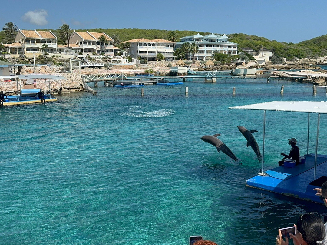 Aida Travel Services-威廉斯塔德必去景点