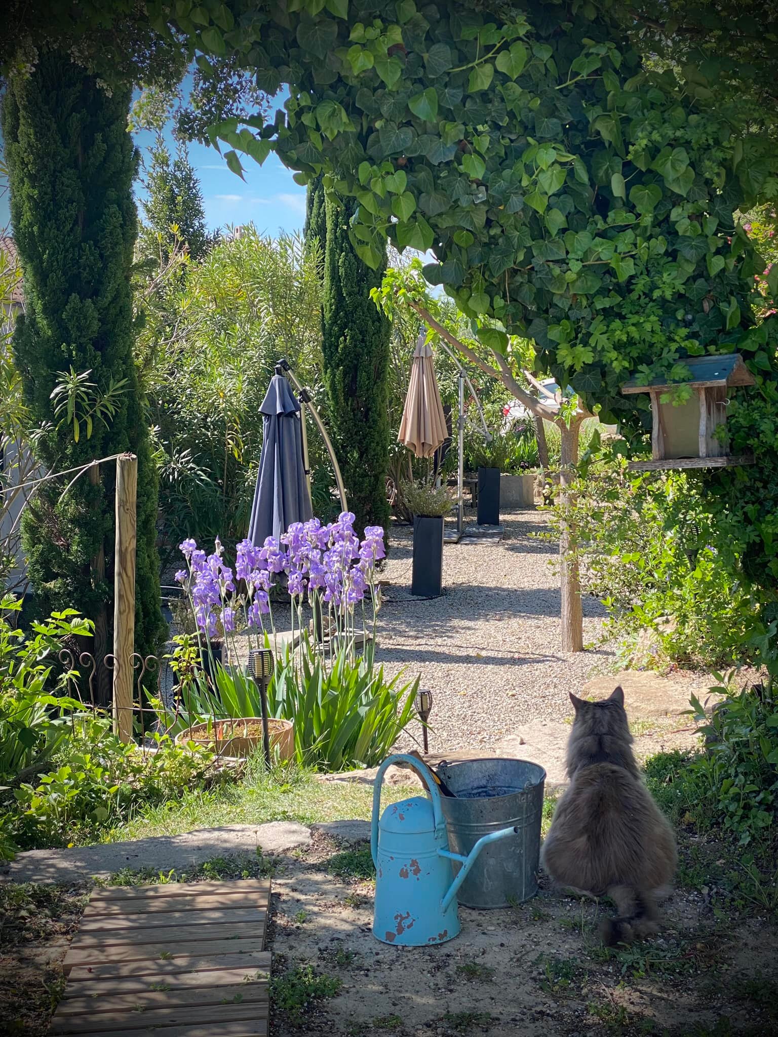Le Jardin de Lau-浴室