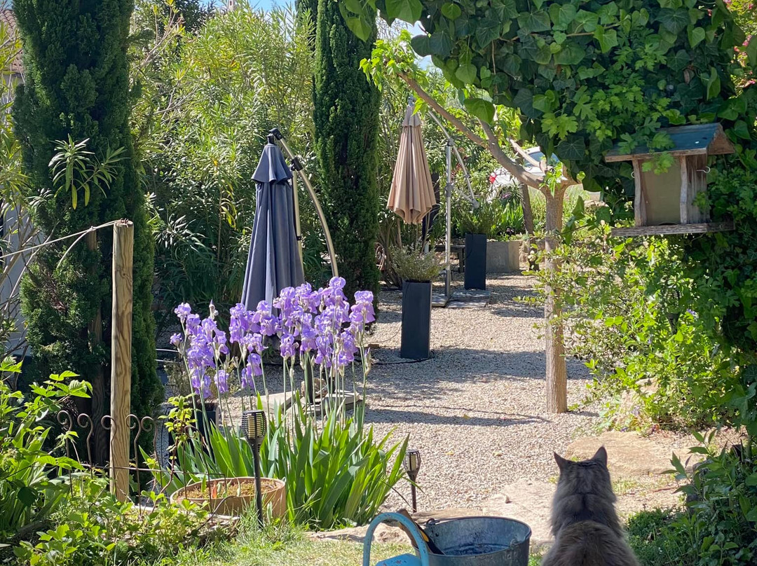 Le Jardin de Lau主图