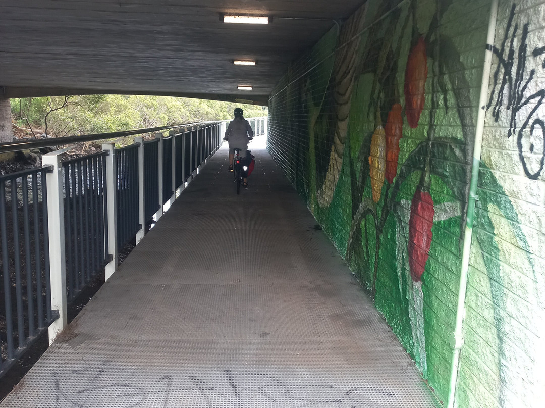 Kooloonbung Creek Nature Park-麦克夸利港必去景点