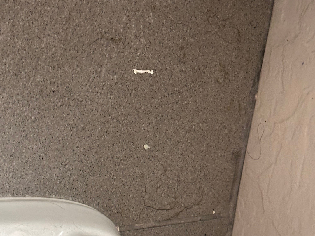 最佳西方斑马汽车旅馆主图