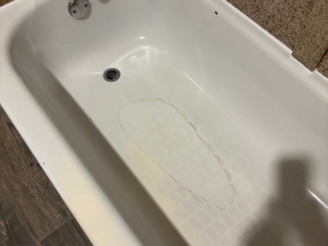 Best Western Plus Circle Inn主图