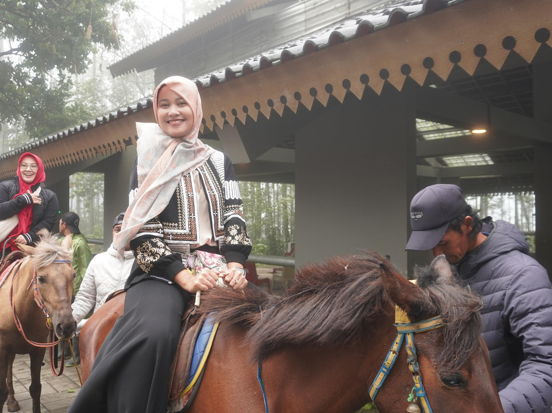 Gedong Songo Temple景点图片