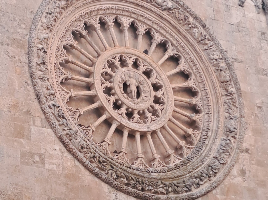 Ostuni Touring-奥斯图尼必去景点