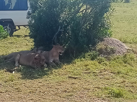 naicef-内罗毕必去景点