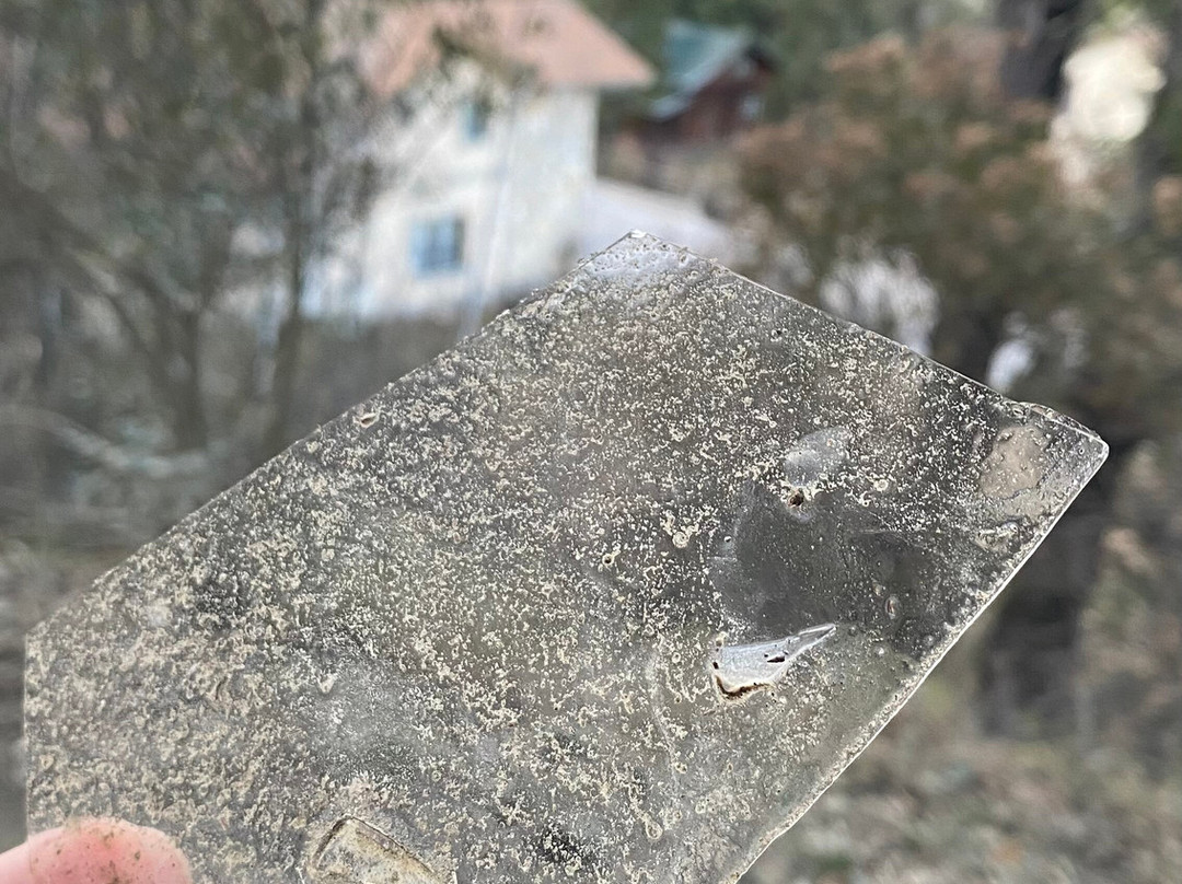 Bosques de Monterreal主图