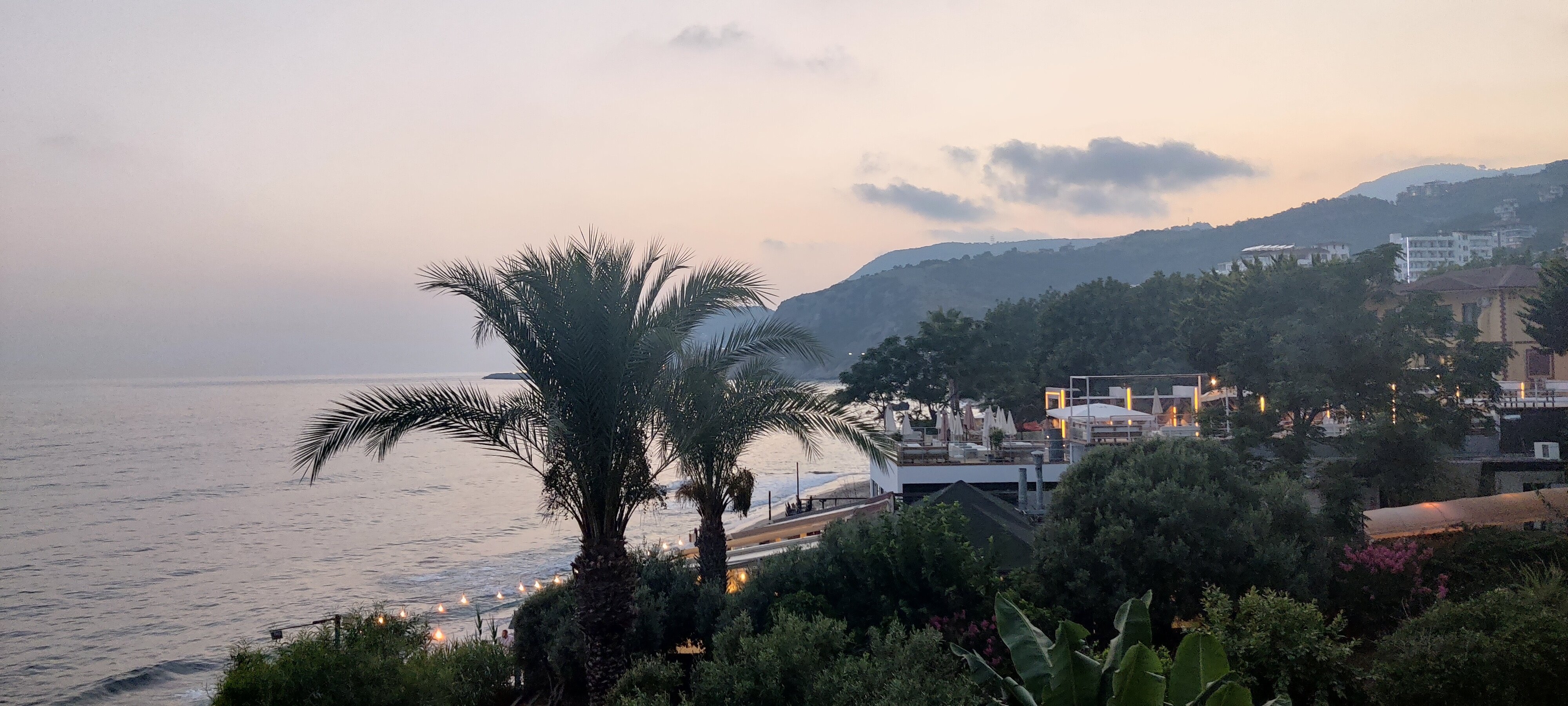Muz Hotel-官方