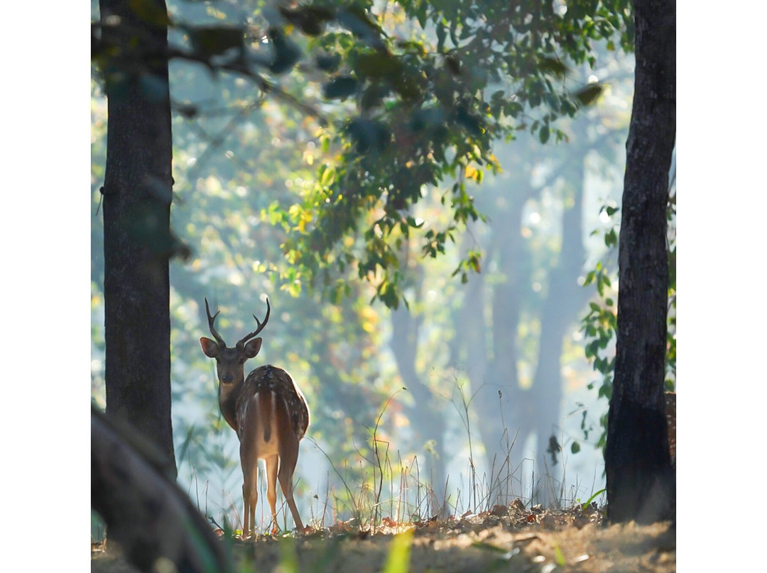 Sahil Tours And Travels-Umaria必去景点
