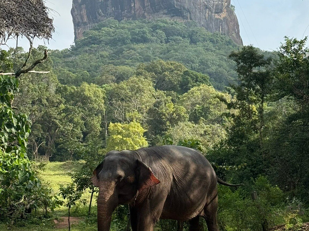 Sri Lanka Transfers景点图片