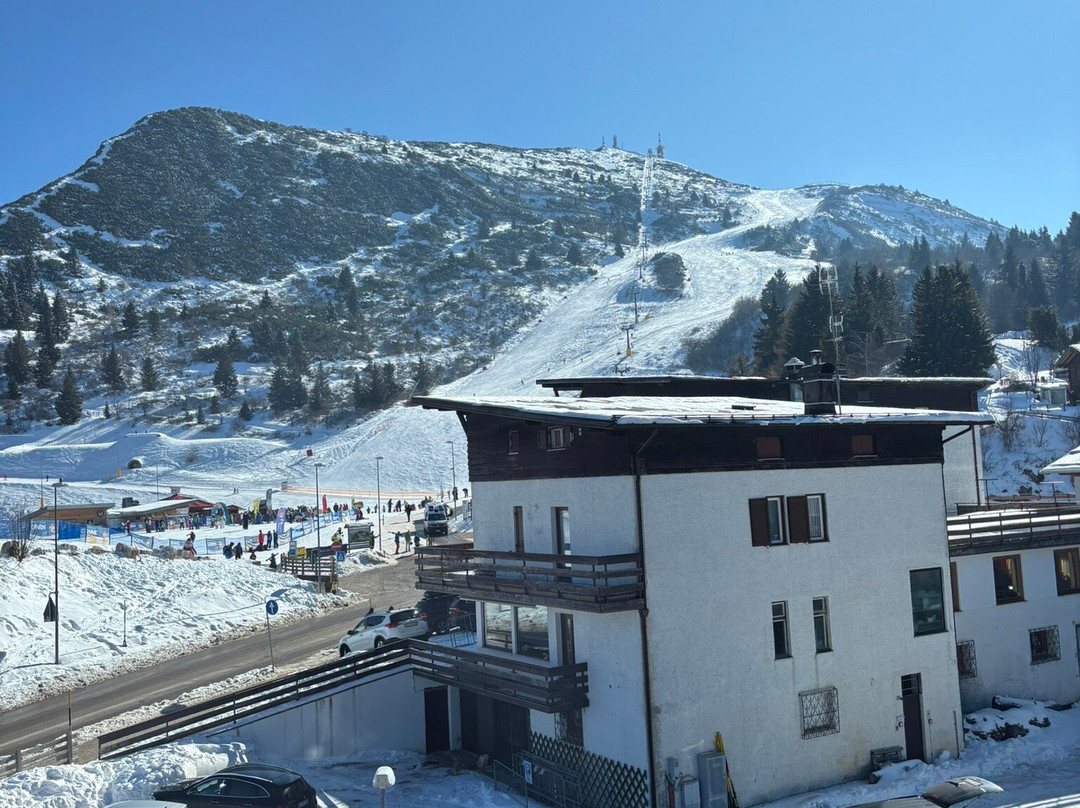 Hotel Dolomiti Chalet主图