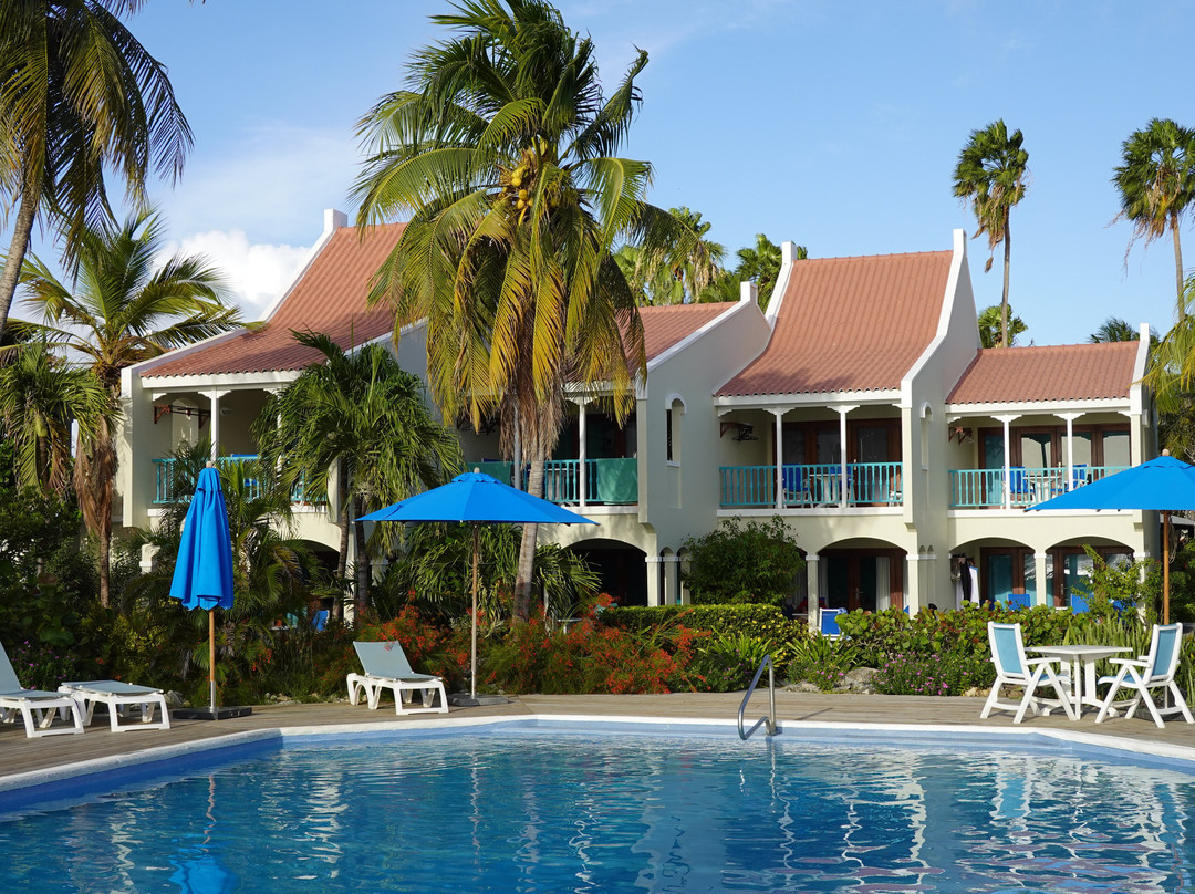 Captain Don's Habitat主图