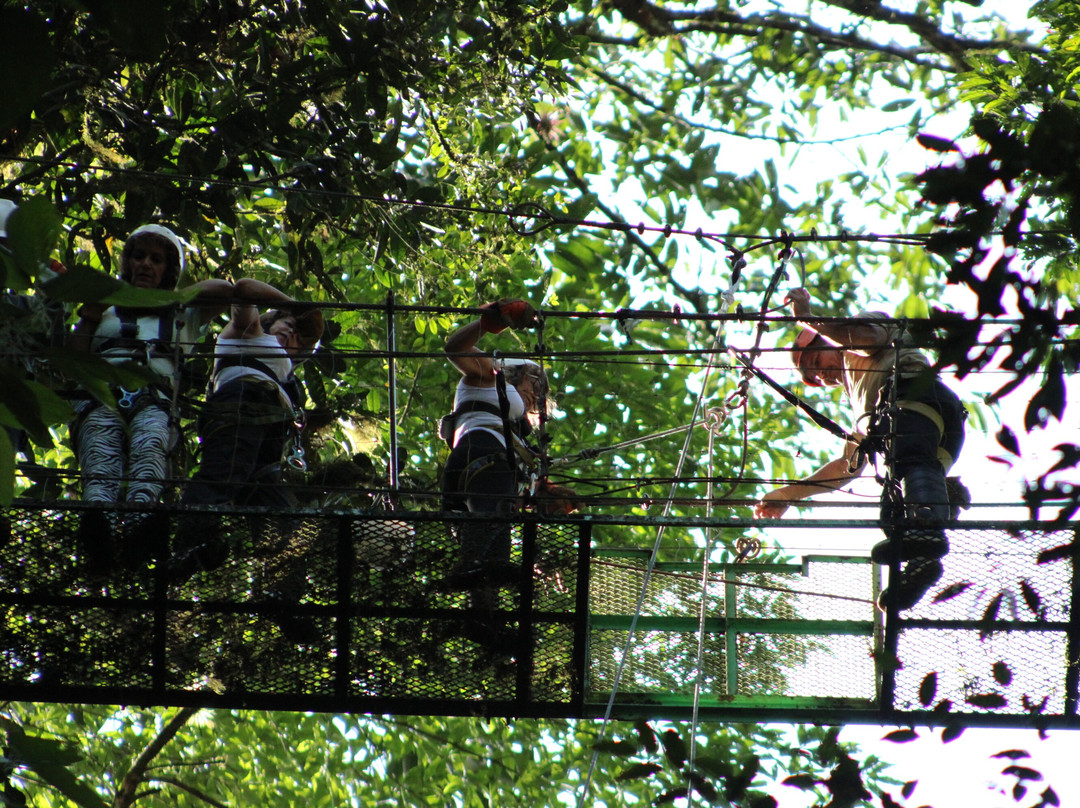 Canopy San Lorenzo-圣拉蒙必去景点