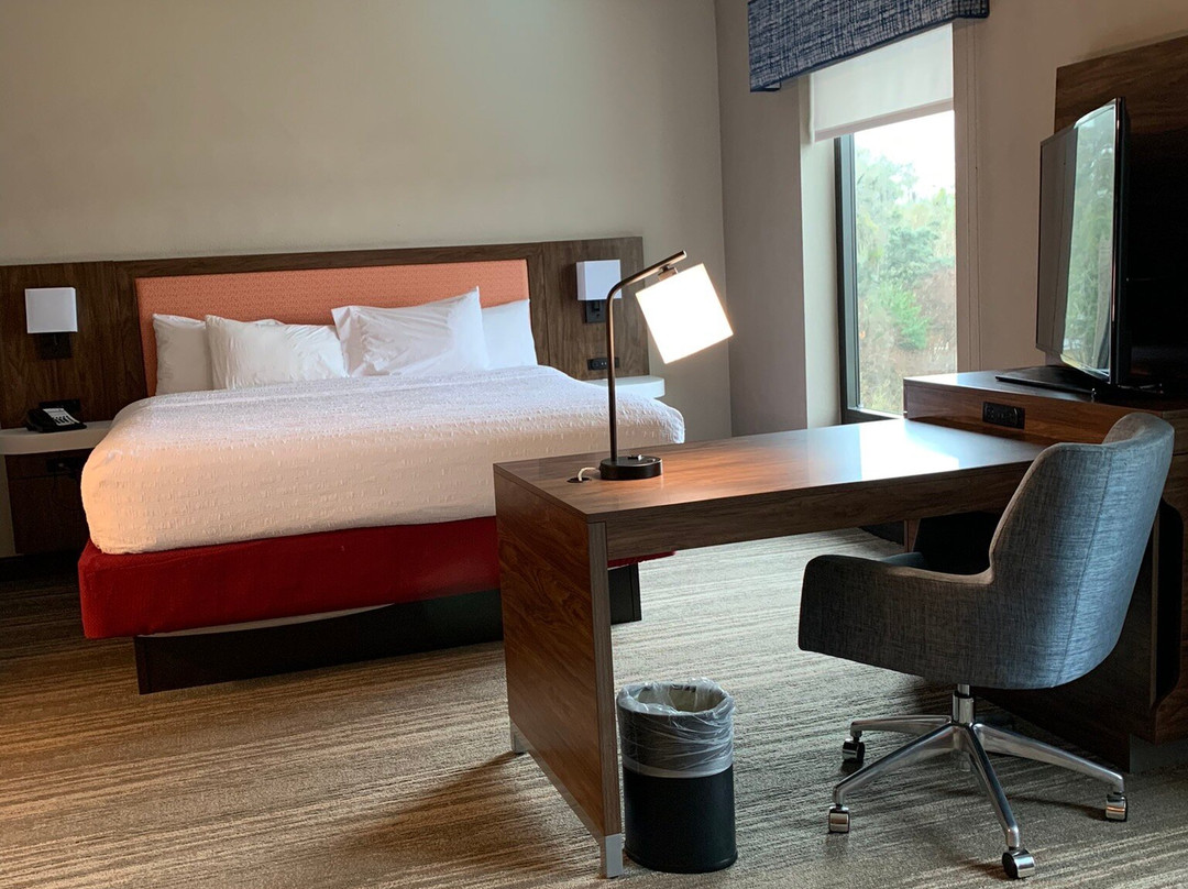Hampton Inn & Suites Orlando-Apopka主图