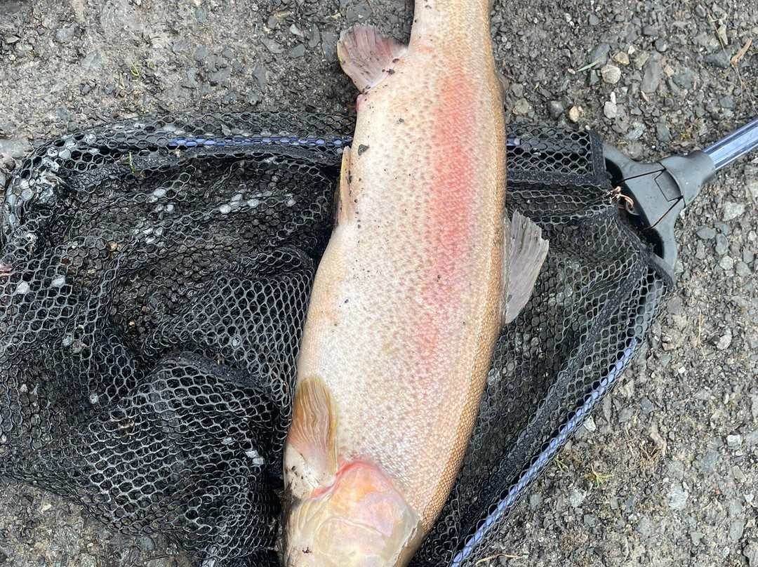 Birchwood Fishery-Drumquin必去景点