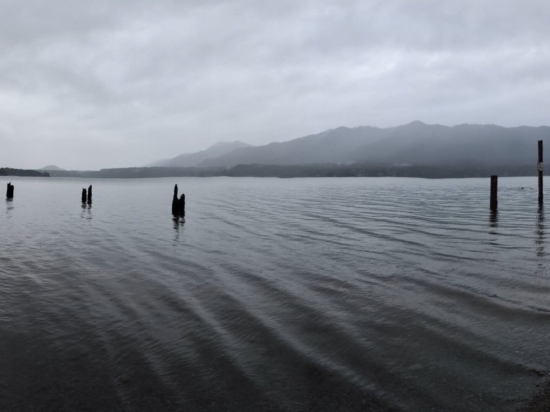 Lake Quinault景点图片