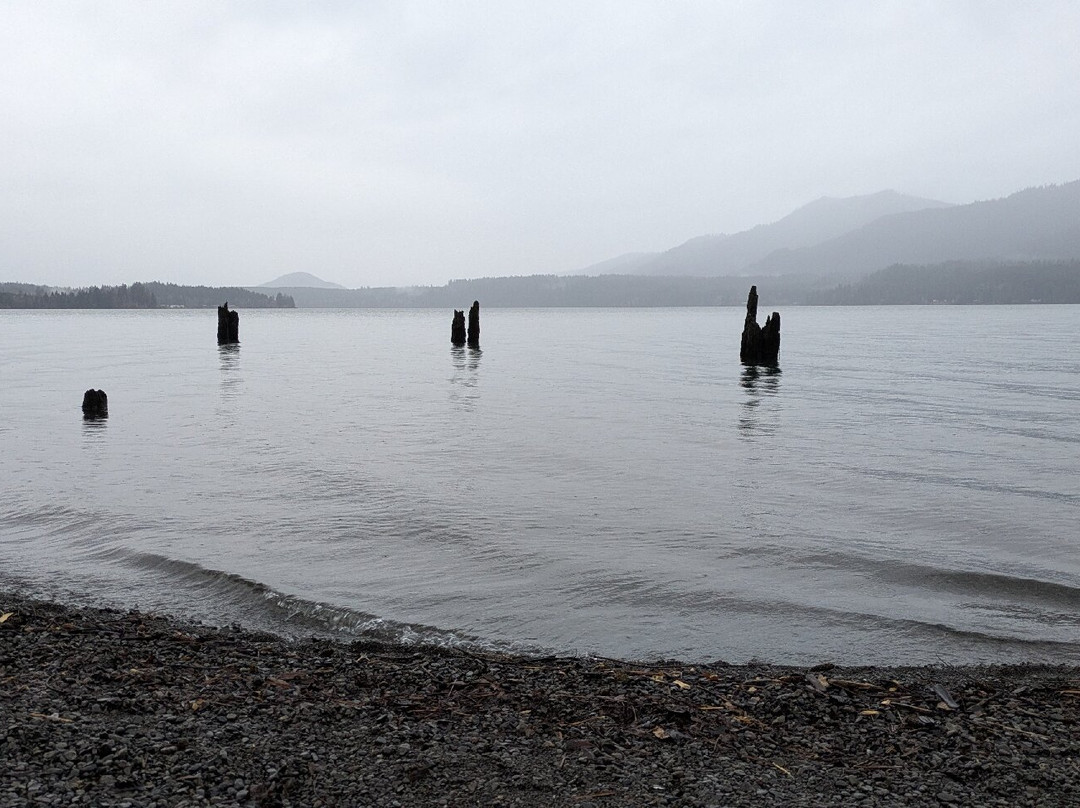 Lake Quinault景点图片