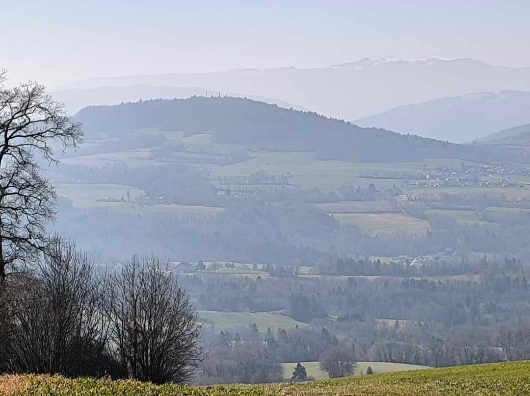 Parcours Santé De Choisy-Choisy必去景点