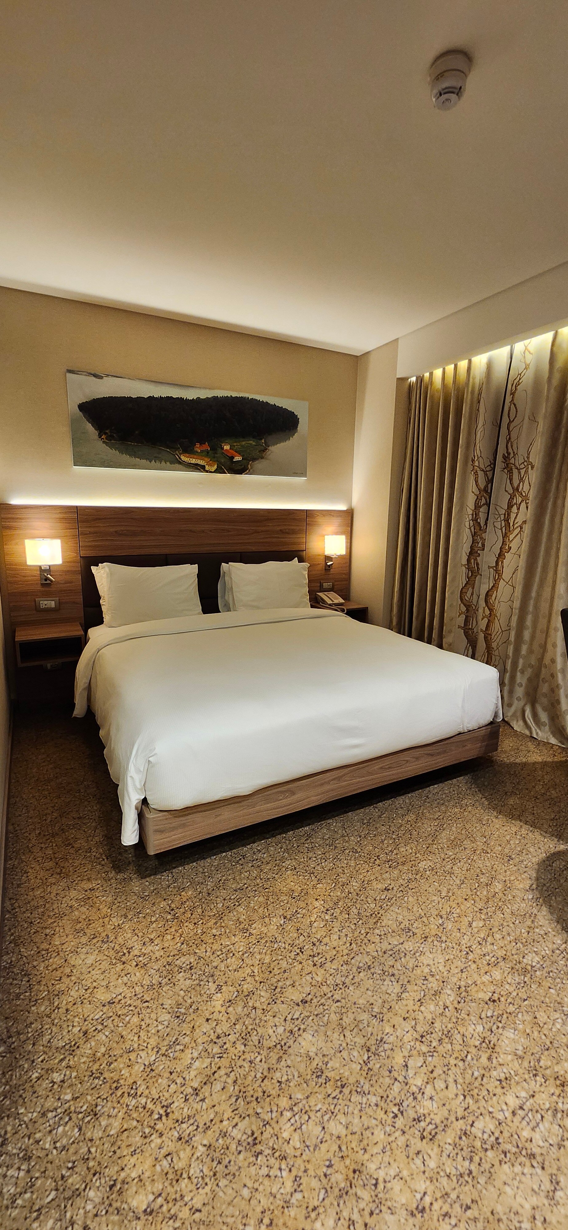 Hilton Garden Inn Tirana-客卧