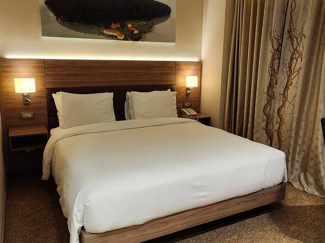 Hilton Garden Inn Tirana主图