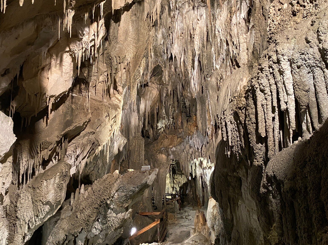 Ngarua Caves-莫图伊卡必去景点