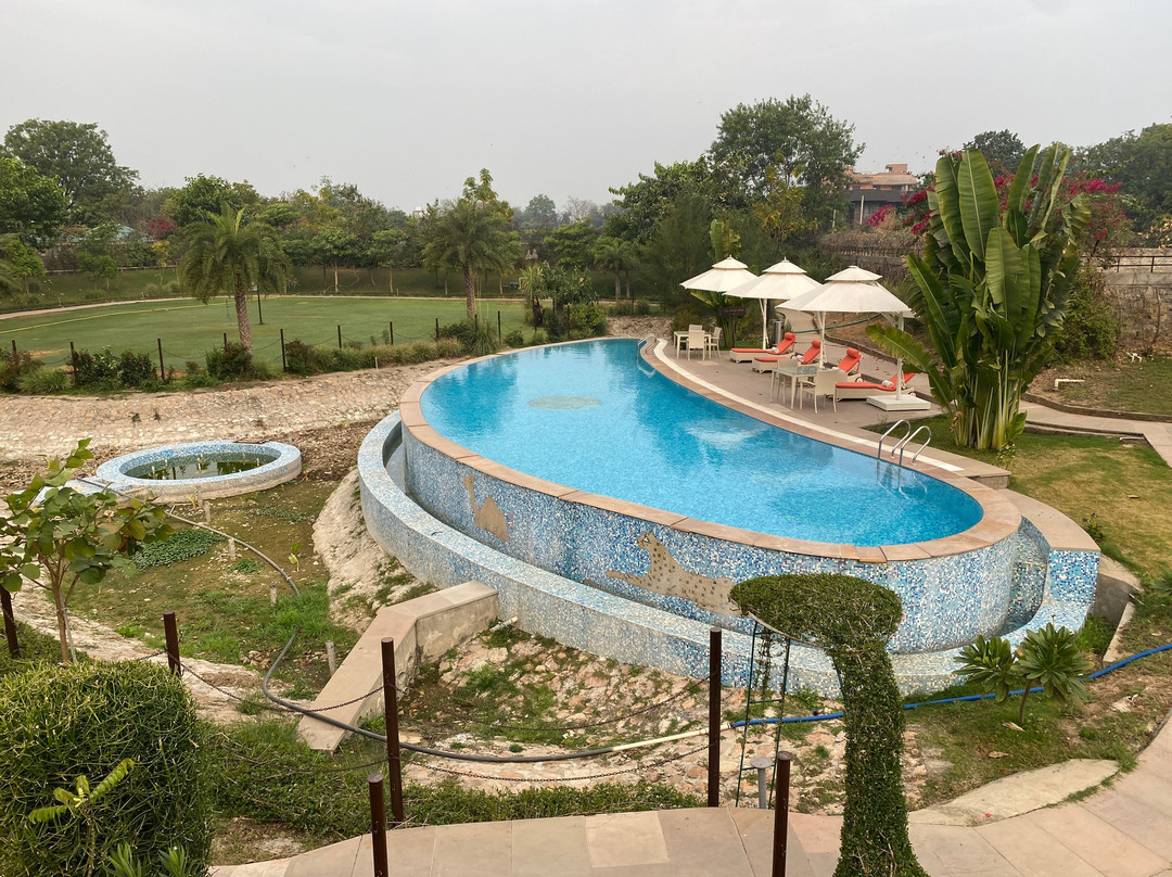 Aamaghati Wildlife Resort - Ranthambore主图