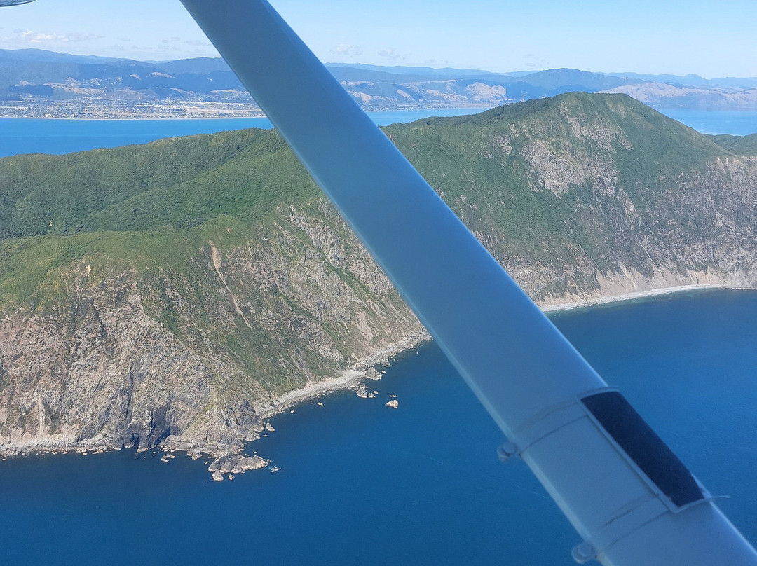 Kapiti Aero Club景点图片