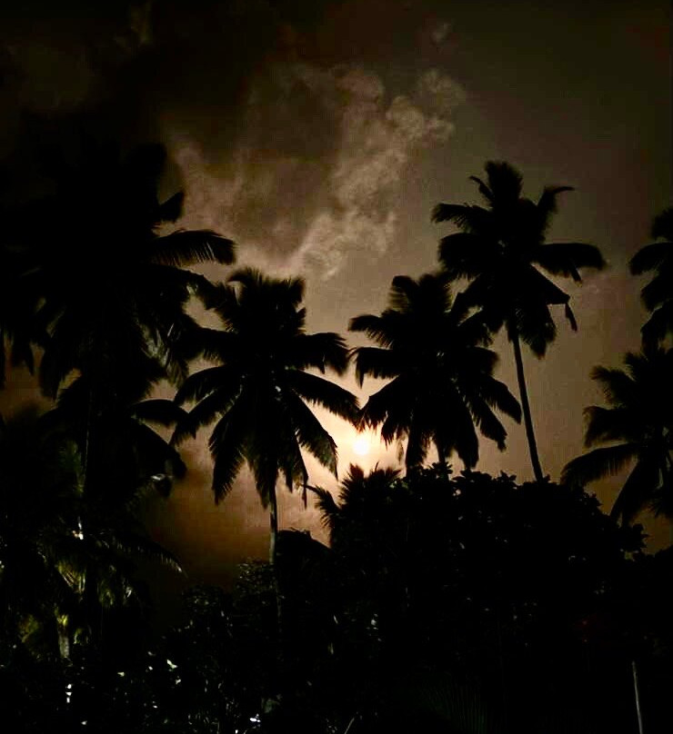 Sankarest Villa主图